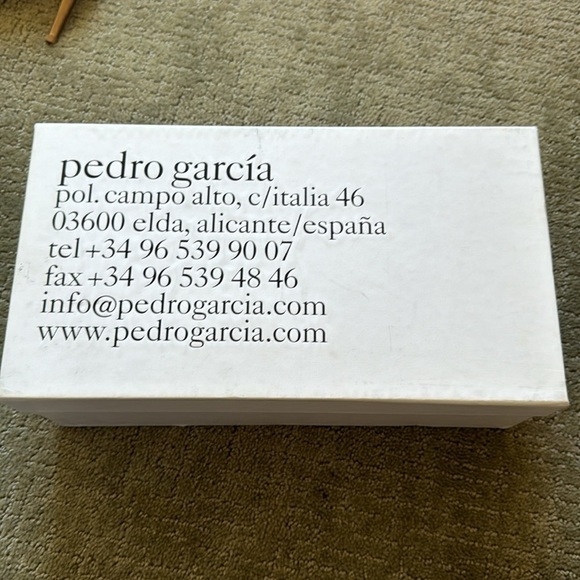 Pedro Garcia Willow Suede Platform Sandals - Picture 6 of 7